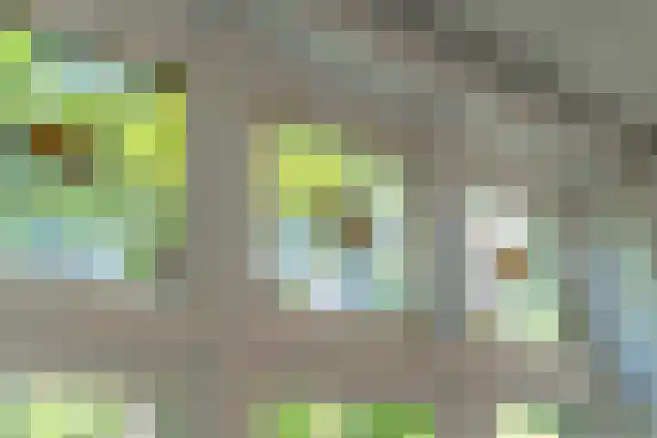 Dodeweg 16 Leusden thumbnail 16