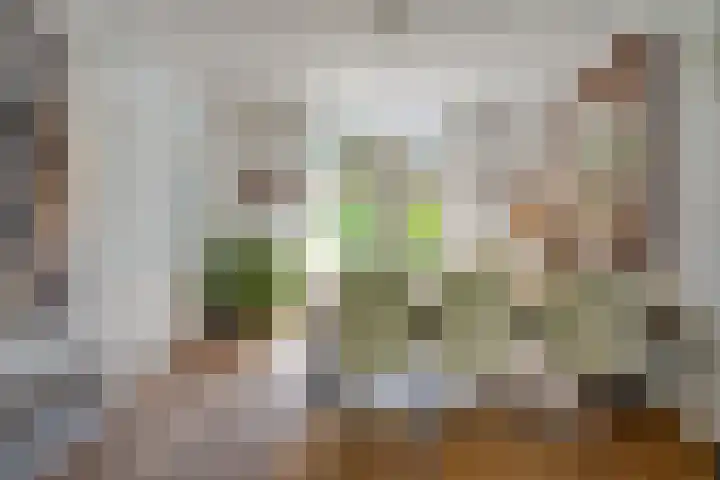 Dodeweg 16 Leusden thumbnail 19