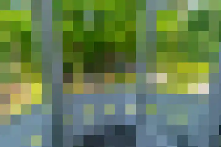 Dodeweg 16 Leusden thumbnail 29