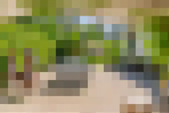 Dodeweg 16 Leusden thumbnail 36