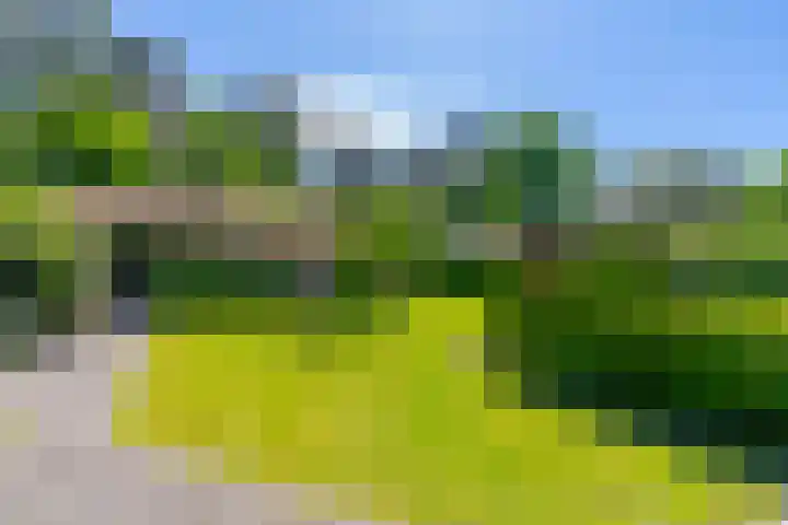 Dodeweg 16 Leusden thumbnail 37