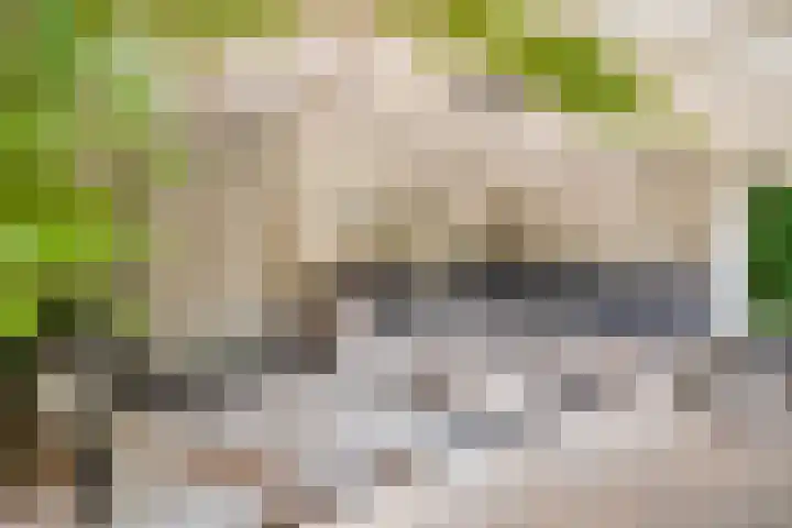 Dodeweg 16 Leusden thumbnail 38