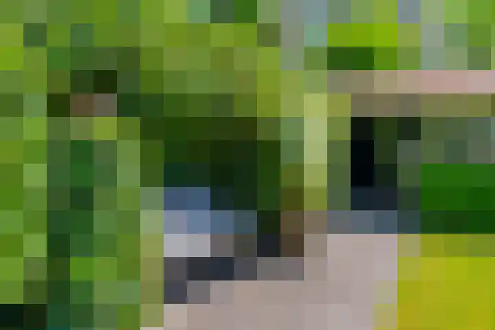 Dodeweg 16 Leusden thumbnail 39