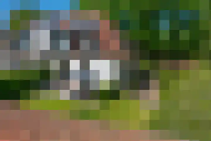 Dodeweg 16 Leusden thumbnail 4