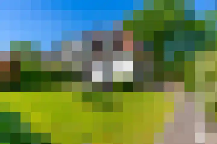 Dodeweg 16 Leusden thumbnail 42