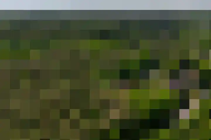 Dodeweg 16 Leusden thumbnail 43