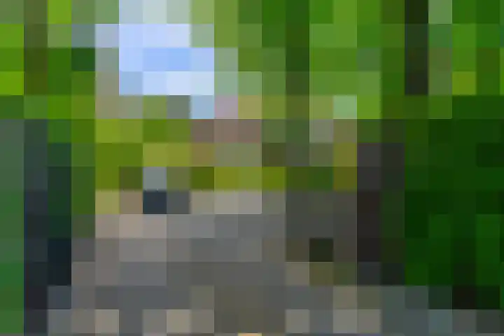 Dodeweg 16 Leusden thumbnail 50