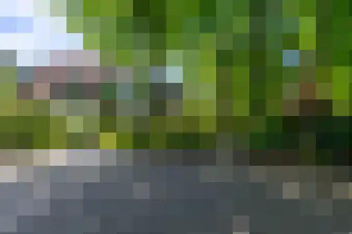 Dodeweg 16 Leusden thumbnail 6