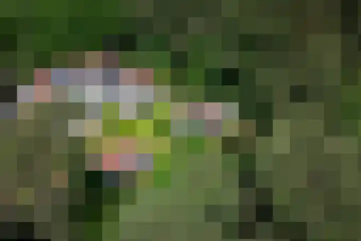 Dodeweg 16 Leusden thumbnail 7