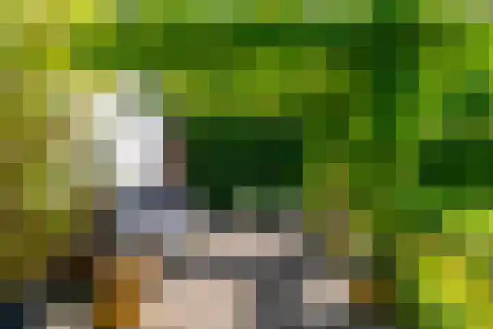 Dodeweg 16 Leusden thumbnail 8