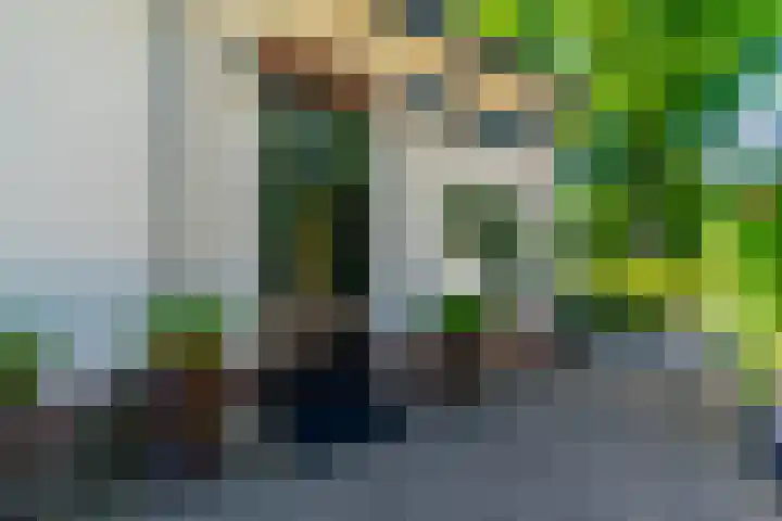 Dodeweg 16 Leusden thumbnail 9