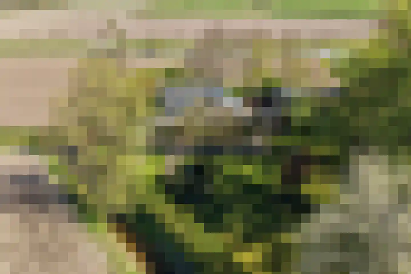 Dodingawei 32 dans Ingwierrum