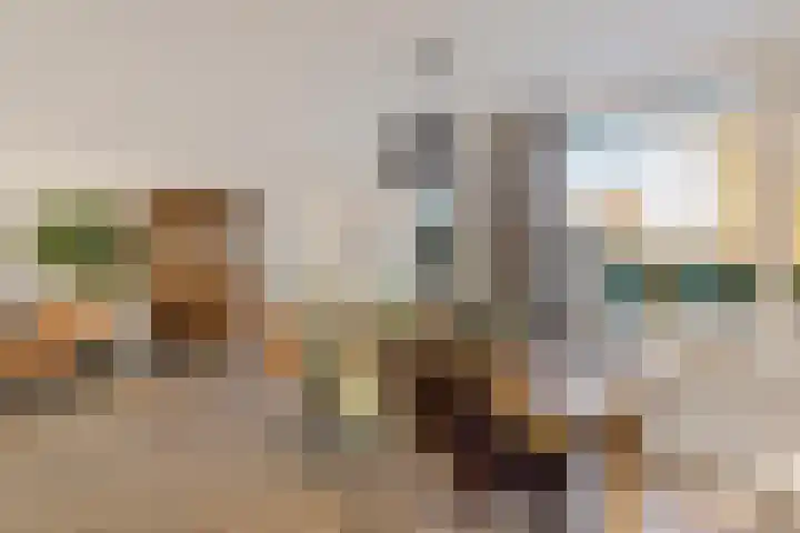 Dodo van Haskastraat 28 Joure thumbnail 10