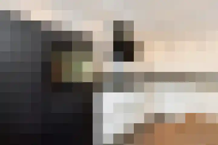 Dodo van Haskastraat 28 Joure thumbnail 12