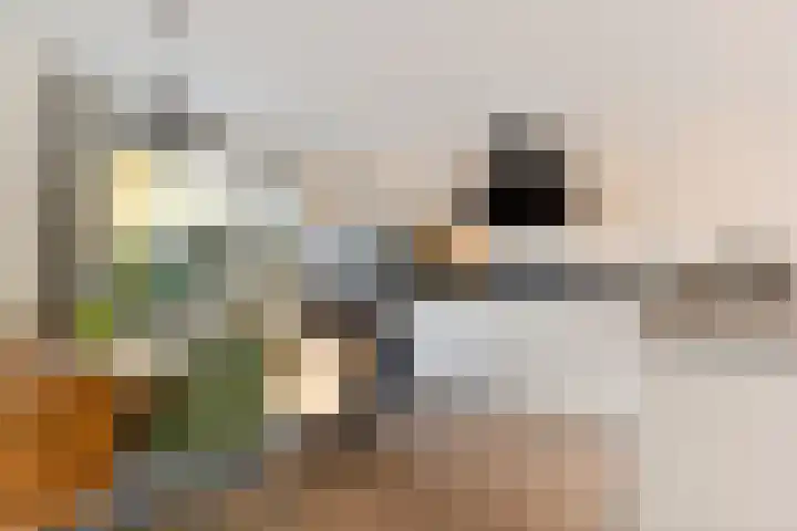 Dodo van Haskastraat 28 Joure thumbnail 13