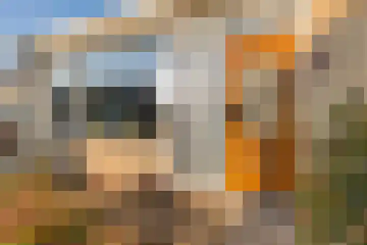 Dodo van Haskastraat 28 Joure thumbnail 34