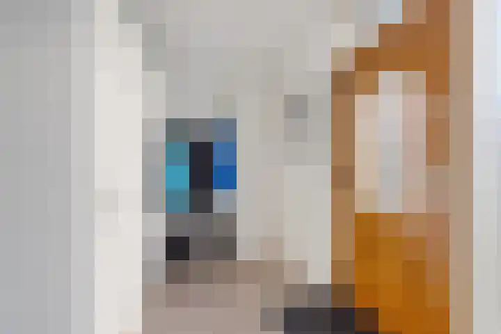 Dodo van Haskastraat 28 Joure thumbnail 4