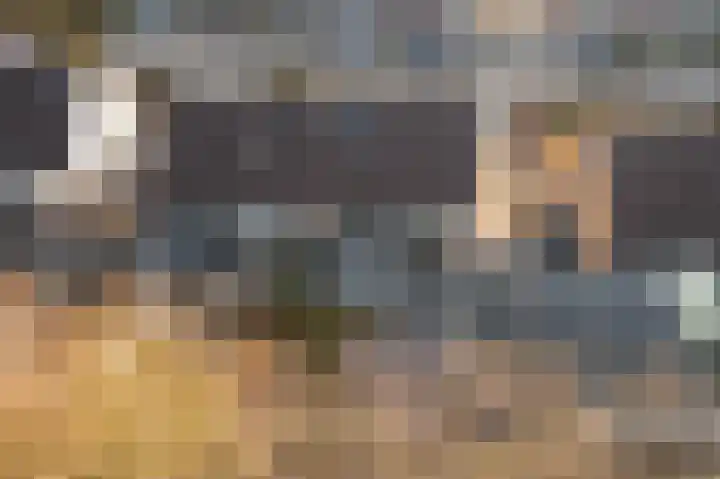 Dodo van Haskastraat 28 Joure thumbnail 43