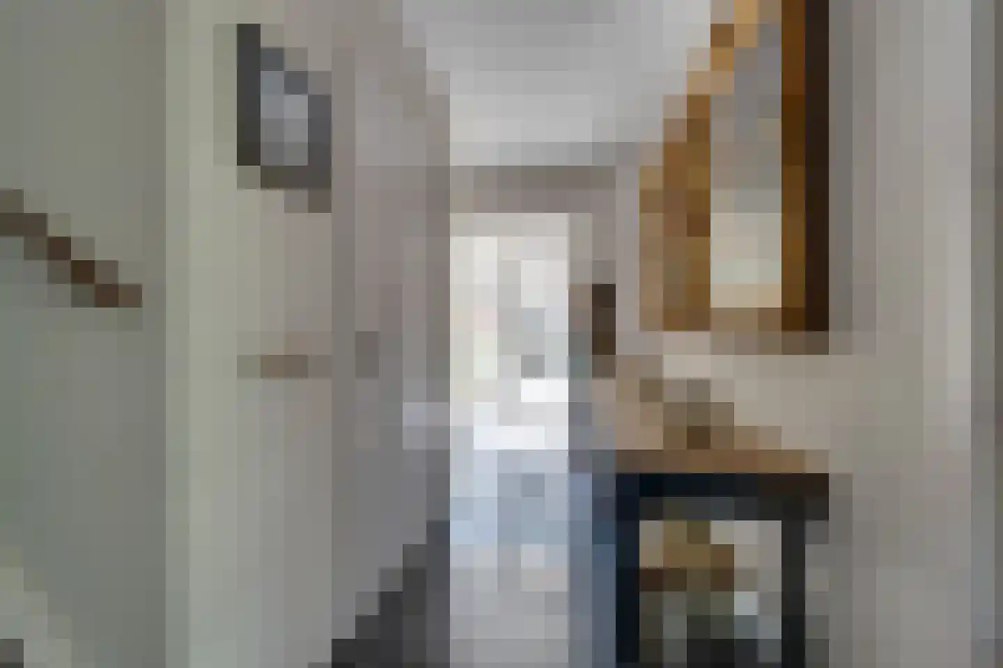 Dodonaeuslaan 317 Zaandam thumbnail 11