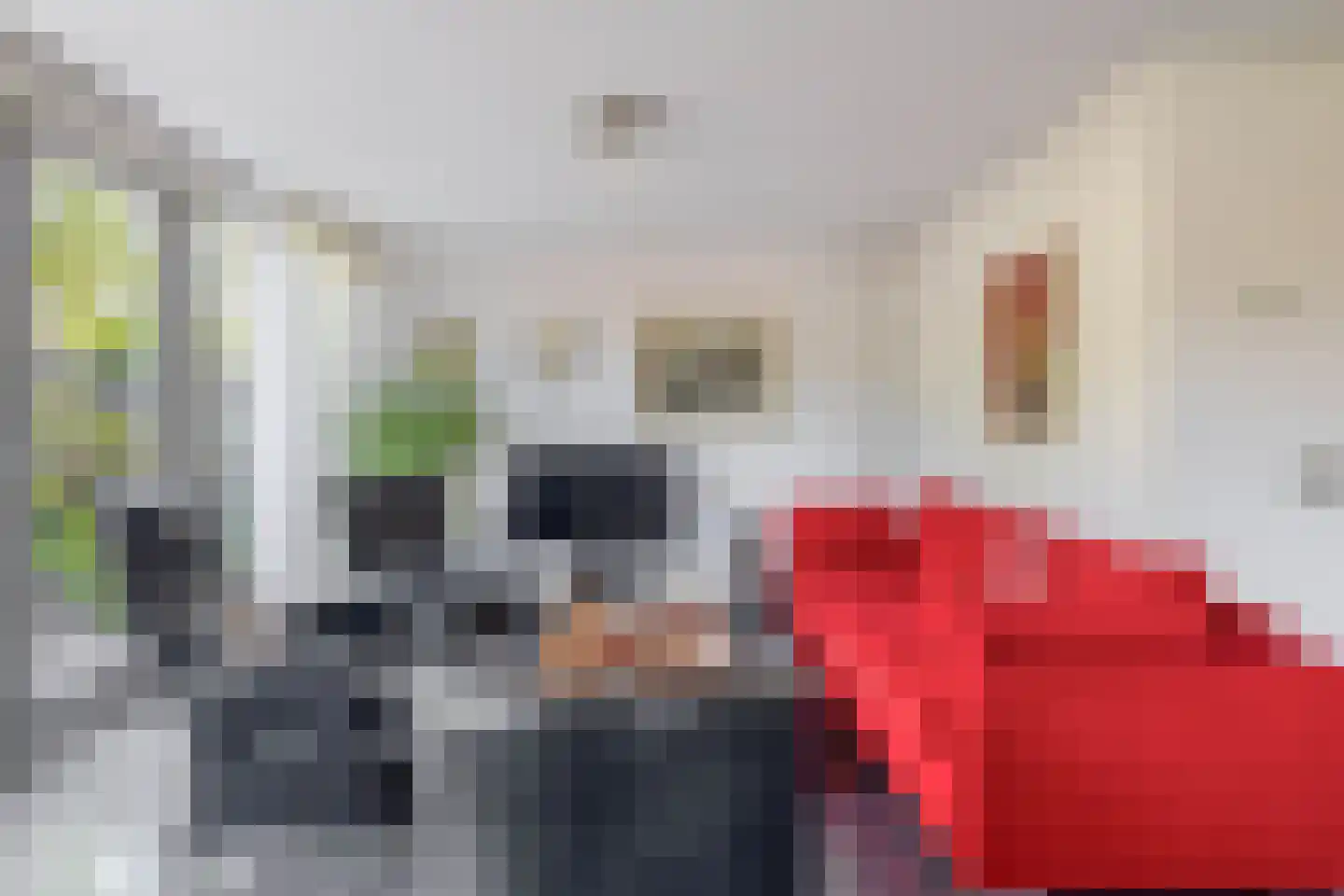 Dodonaeuslaan 317 Zaandam thumbnail 11