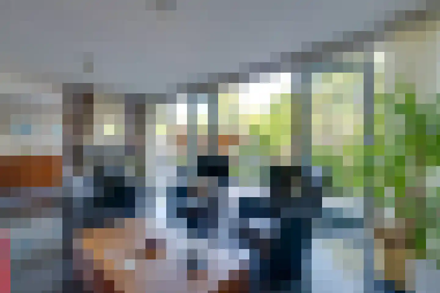 Dodonaeuslaan 317 Zaandam thumbnail 12