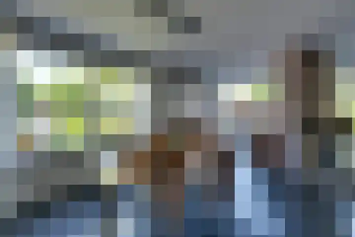 Dodonaeuslaan 317 Zaandam thumbnail 13