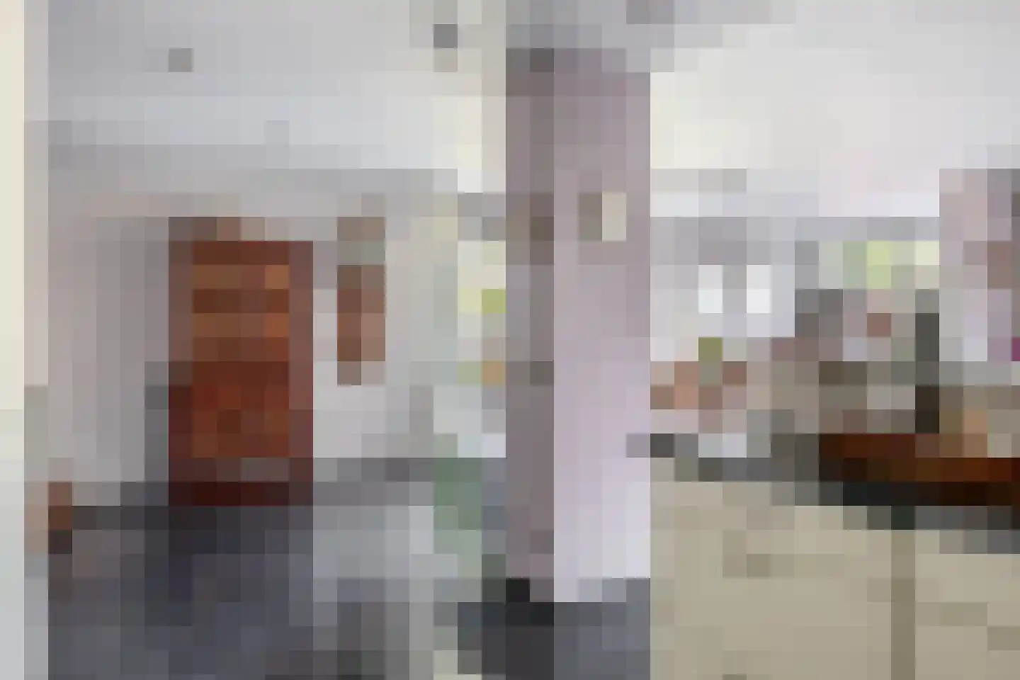 Dodonaeuslaan 317 Zaandam thumbnail 21