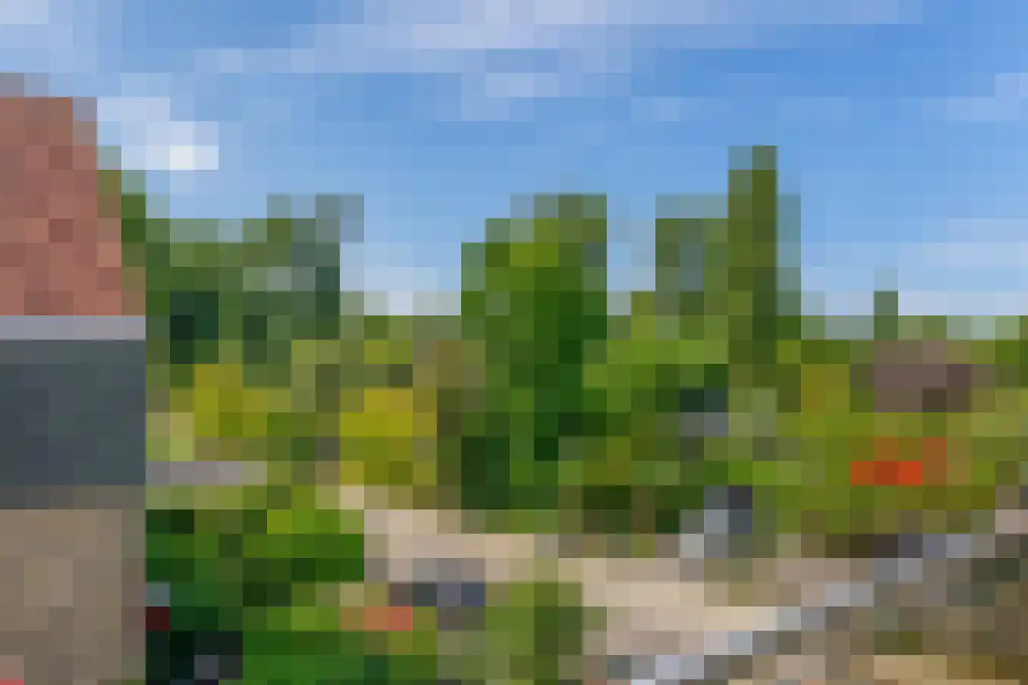 Dodonaeuslaan 317 Zaandam thumbnail 30
