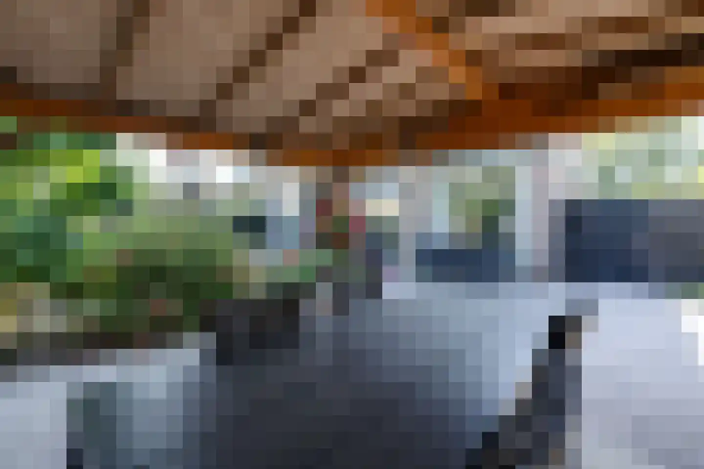 Dodonaeuslaan 317 Zaandam thumbnail 30