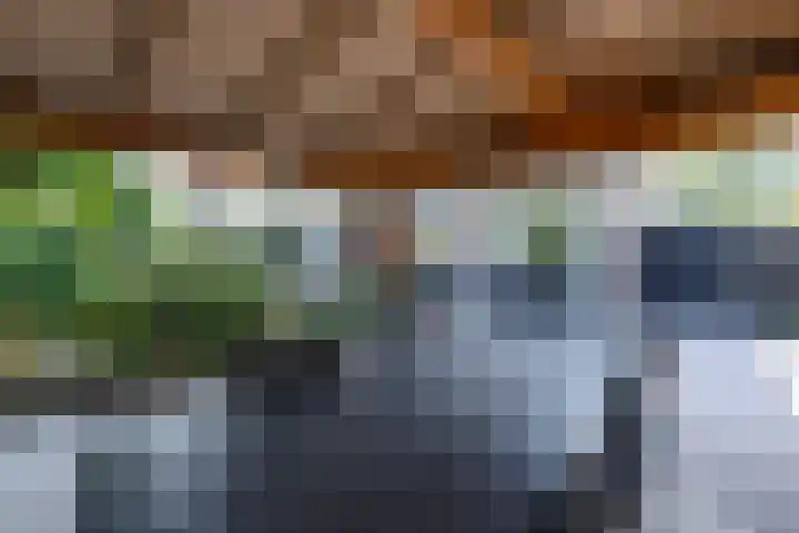 Dodonaeuslaan 317 Zaandam thumbnail 30