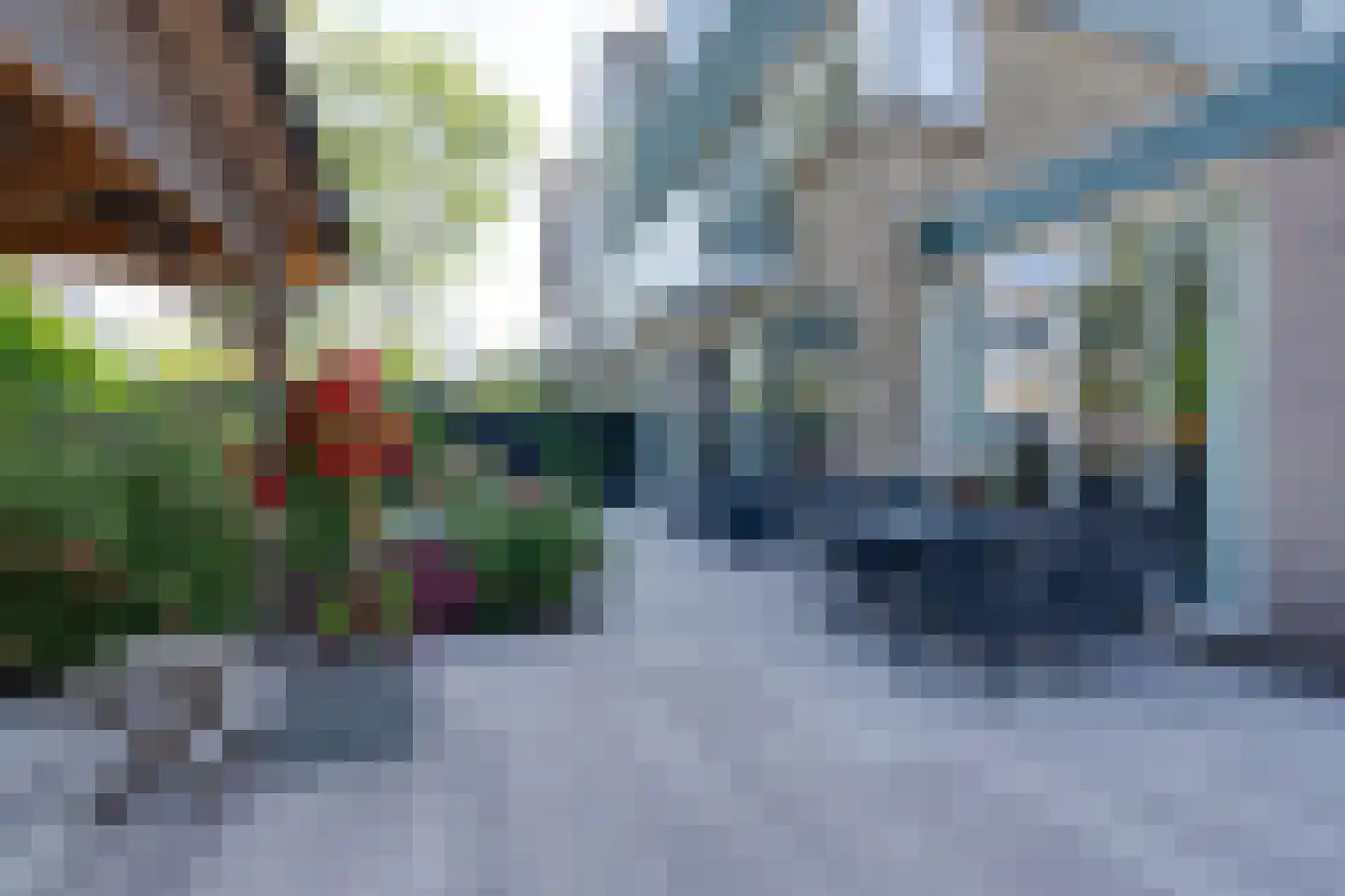 Dodonaeuslaan 317 Zaandam thumbnail 31