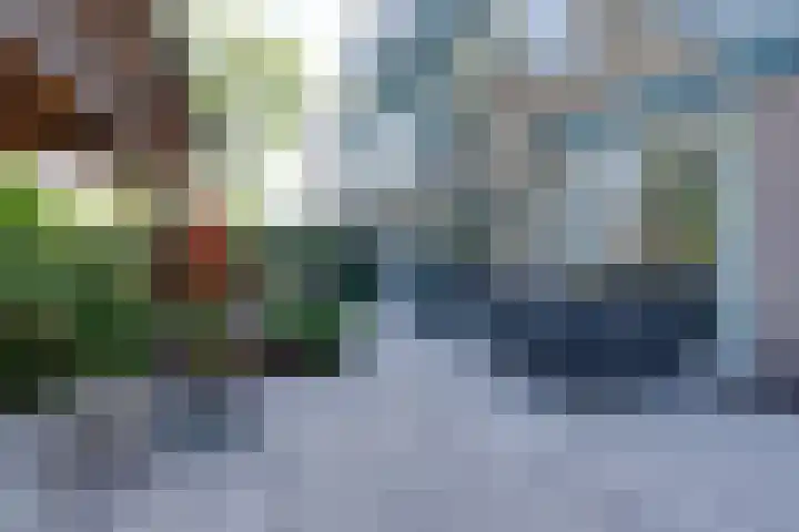 Dodonaeuslaan 317 Zaandam thumbnail 31