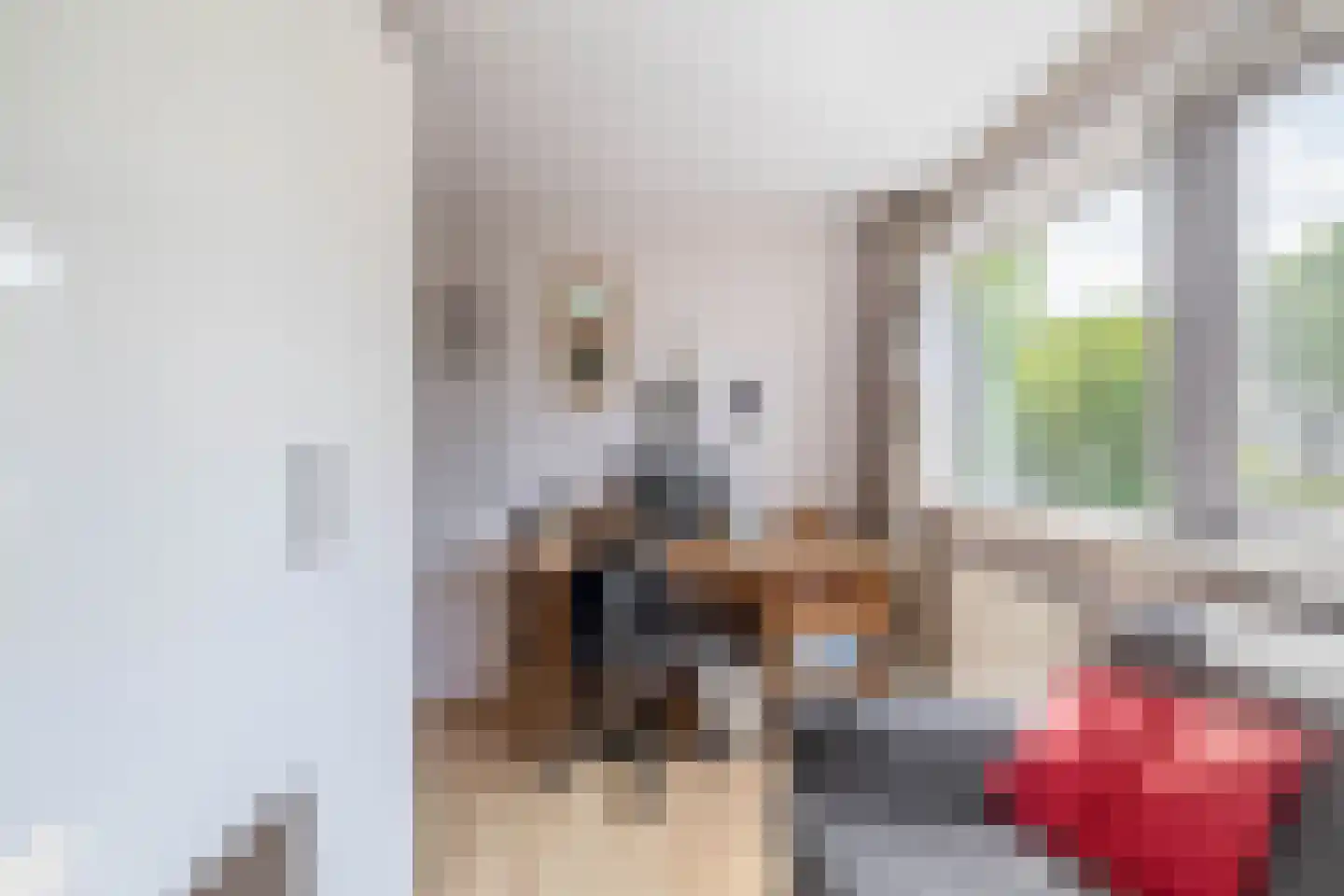 Dodonaeuslaan 317 Zaandam thumbnail 33