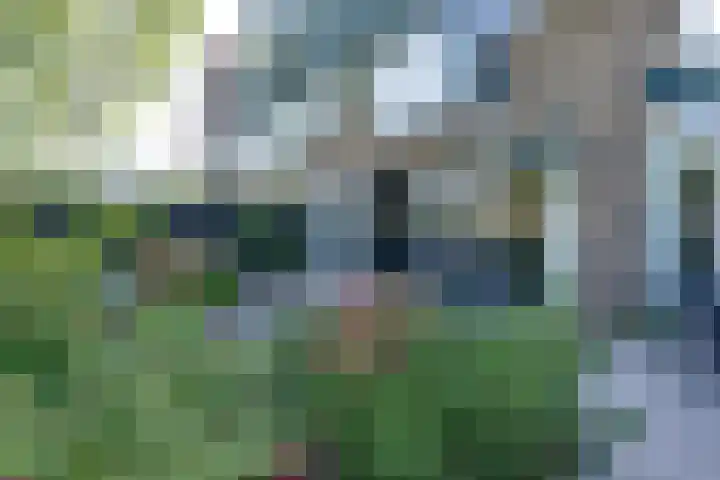 Dodonaeuslaan 317 Zaandam thumbnail 34