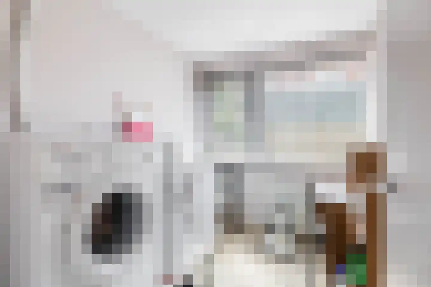 Dodonaeuslaan 317 Zaandam thumbnail 34