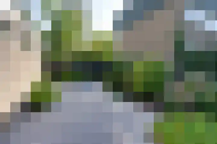 Dodonaeuslaan 317 Zaandam thumbnail 35