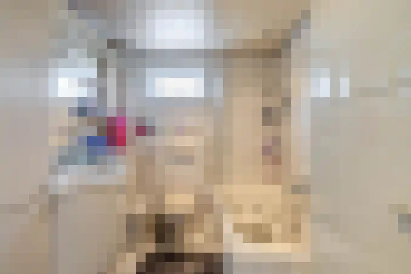 Dodonaeuslaan 317 Zaandam thumbnail 35