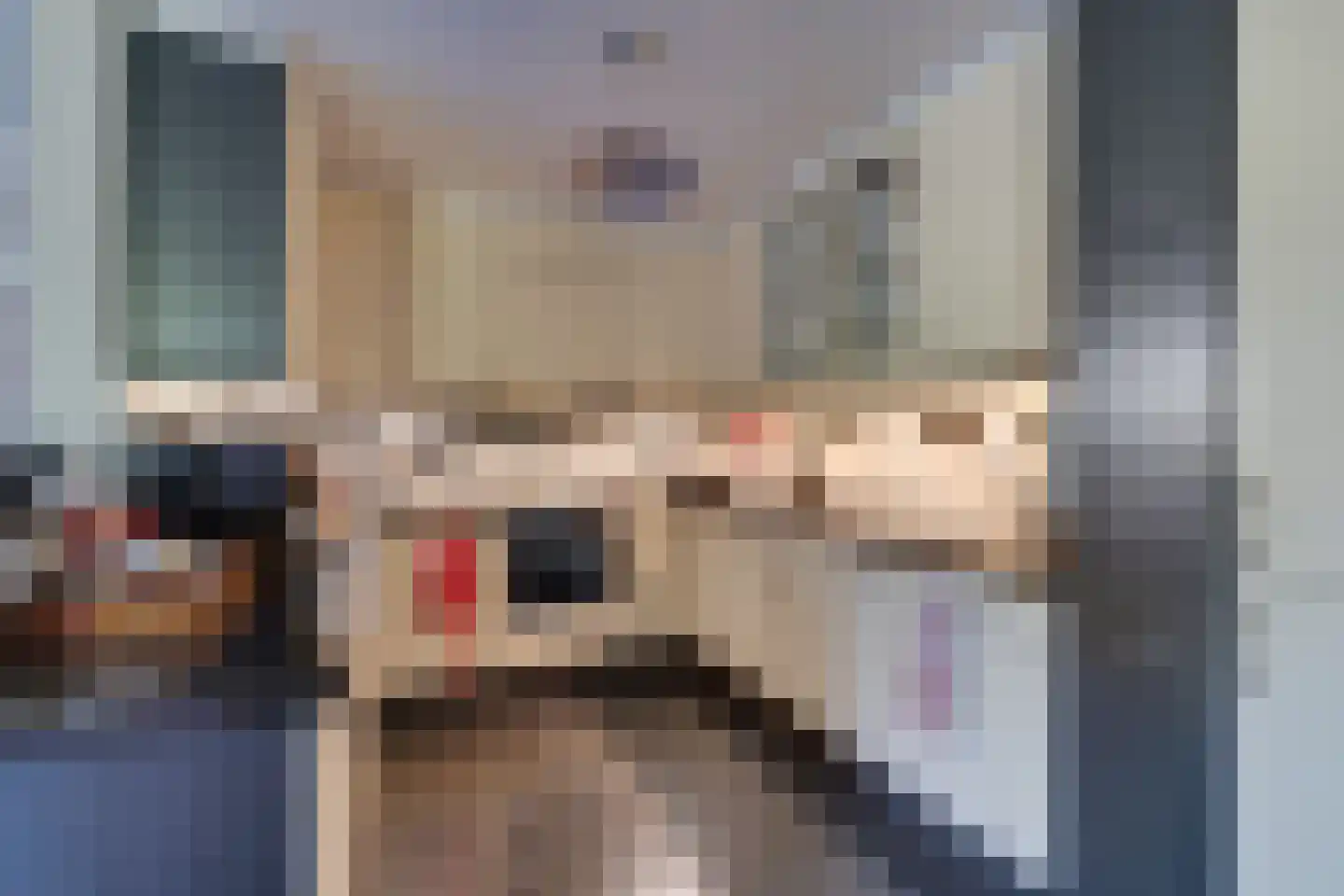 Dodonaeuslaan 317 Zaandam thumbnail 4