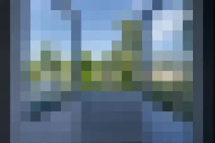 Dodonaeuslaan 317 Zaandam thumbnail 42