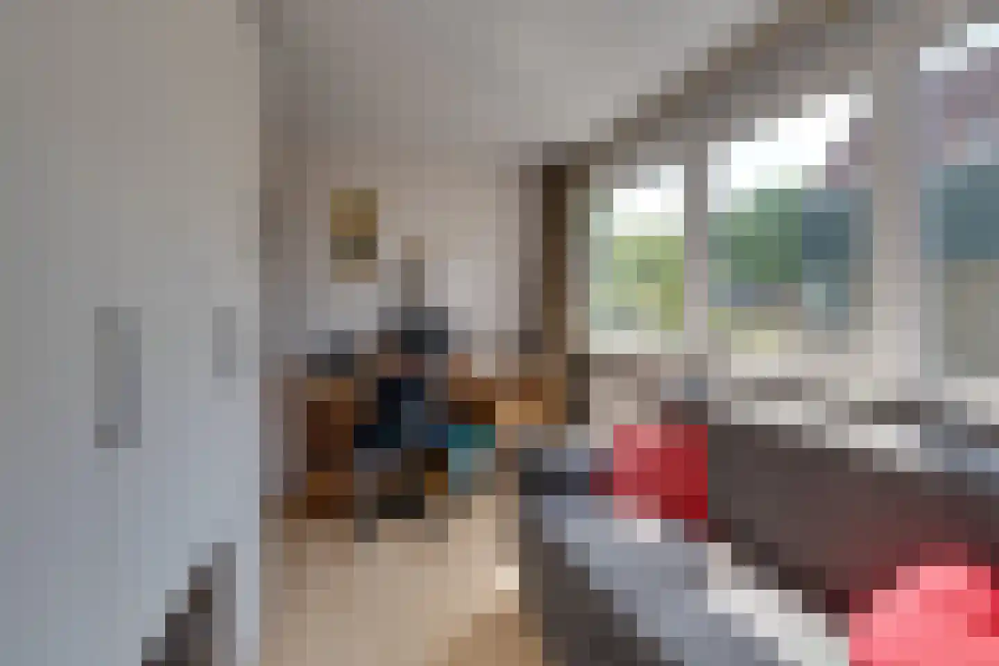 Dodonaeuslaan 317 Zaandam thumbnail 45