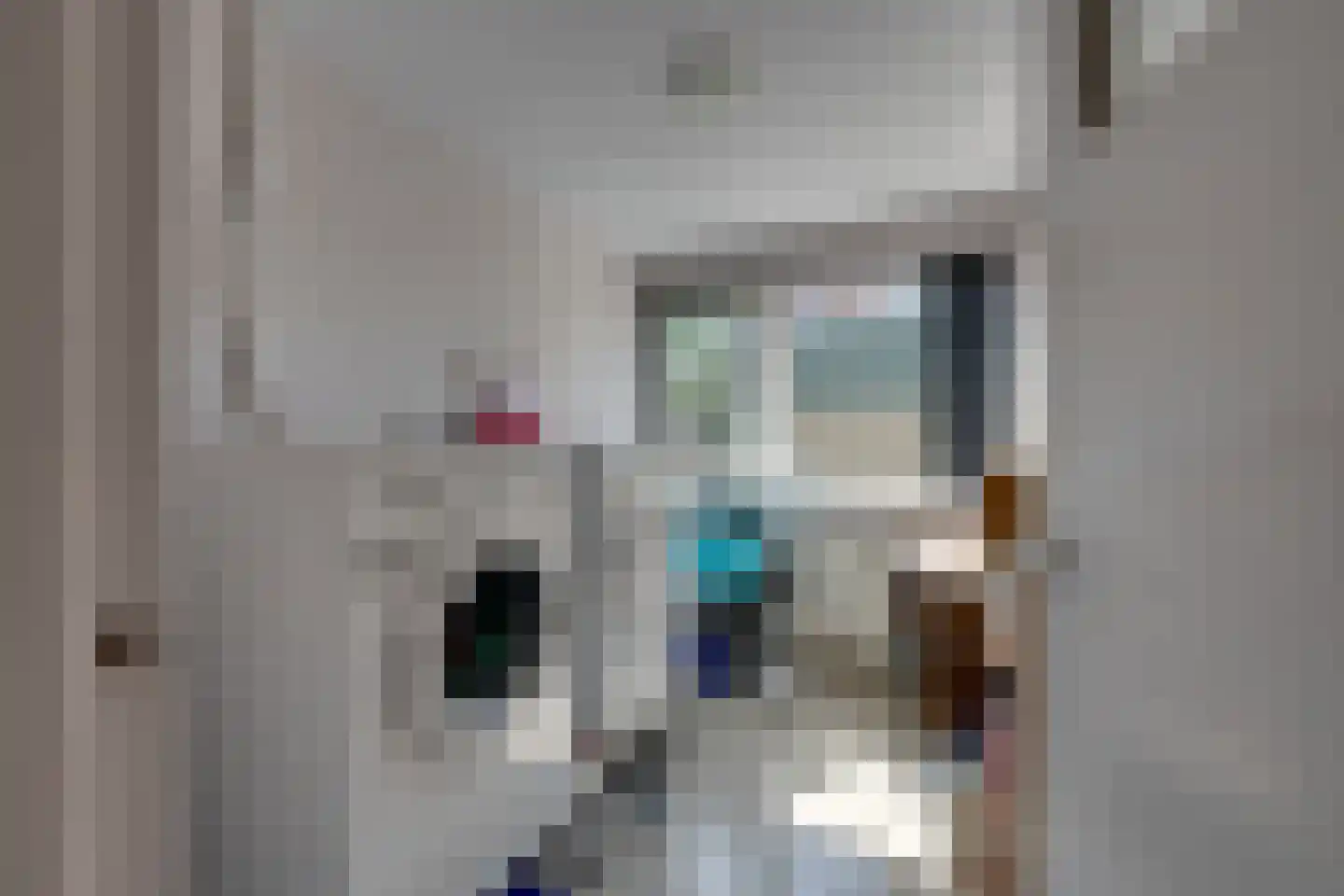 Dodonaeuslaan 317 Zaandam thumbnail 46