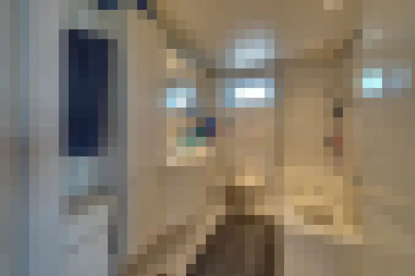 Dodonaeuslaan 317 Zaandam thumbnail 47