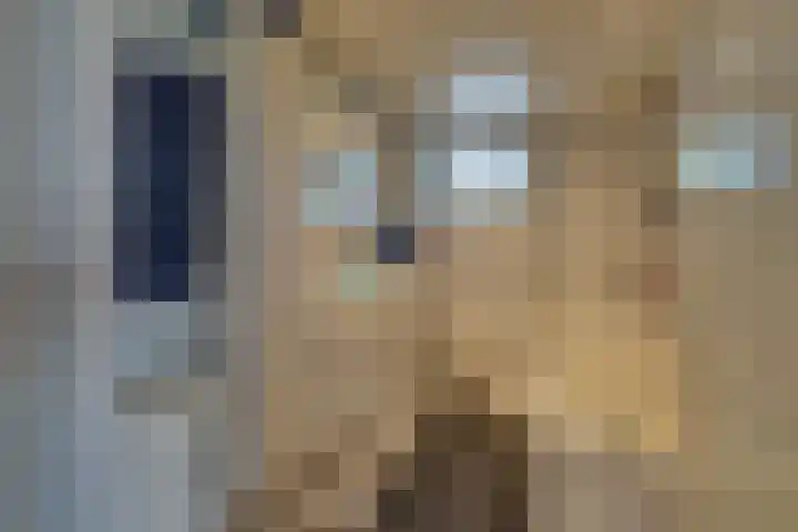 Dodonaeuslaan 317 Zaandam thumbnail 47
