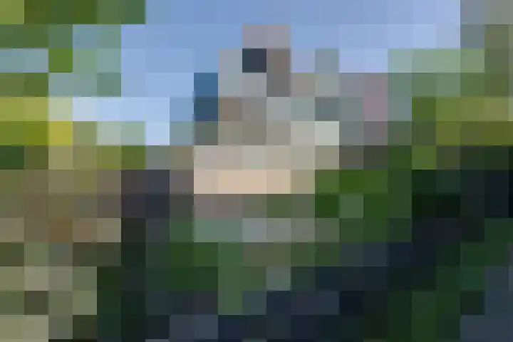 Dodonaeuslaan 317 Zaandam thumbnail 5