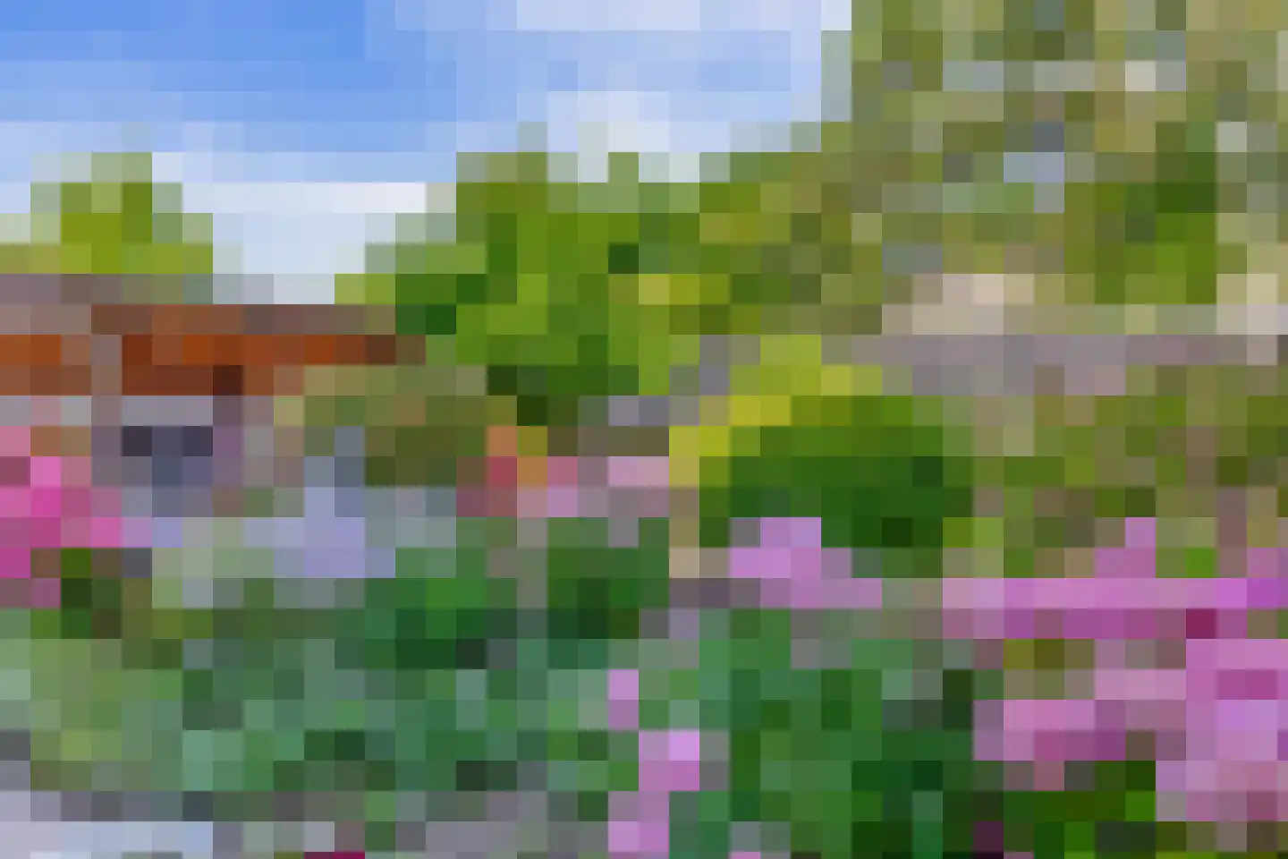 Dodonaeuslaan 317 Zaandam thumbnail 53