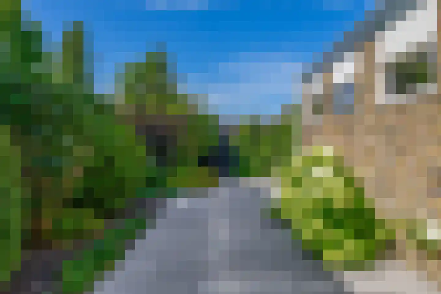 Dodonaeuslaan 317 Zaandam thumbnail 54