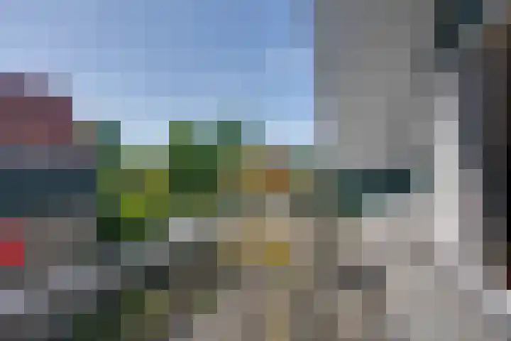 Dodonaeuslaan 317 Zaandam thumbnail 56