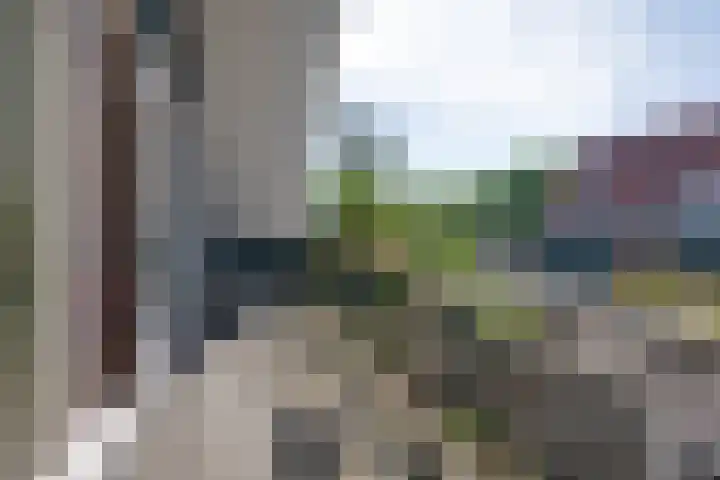 Dodonaeuslaan 317 Zaandam thumbnail 57