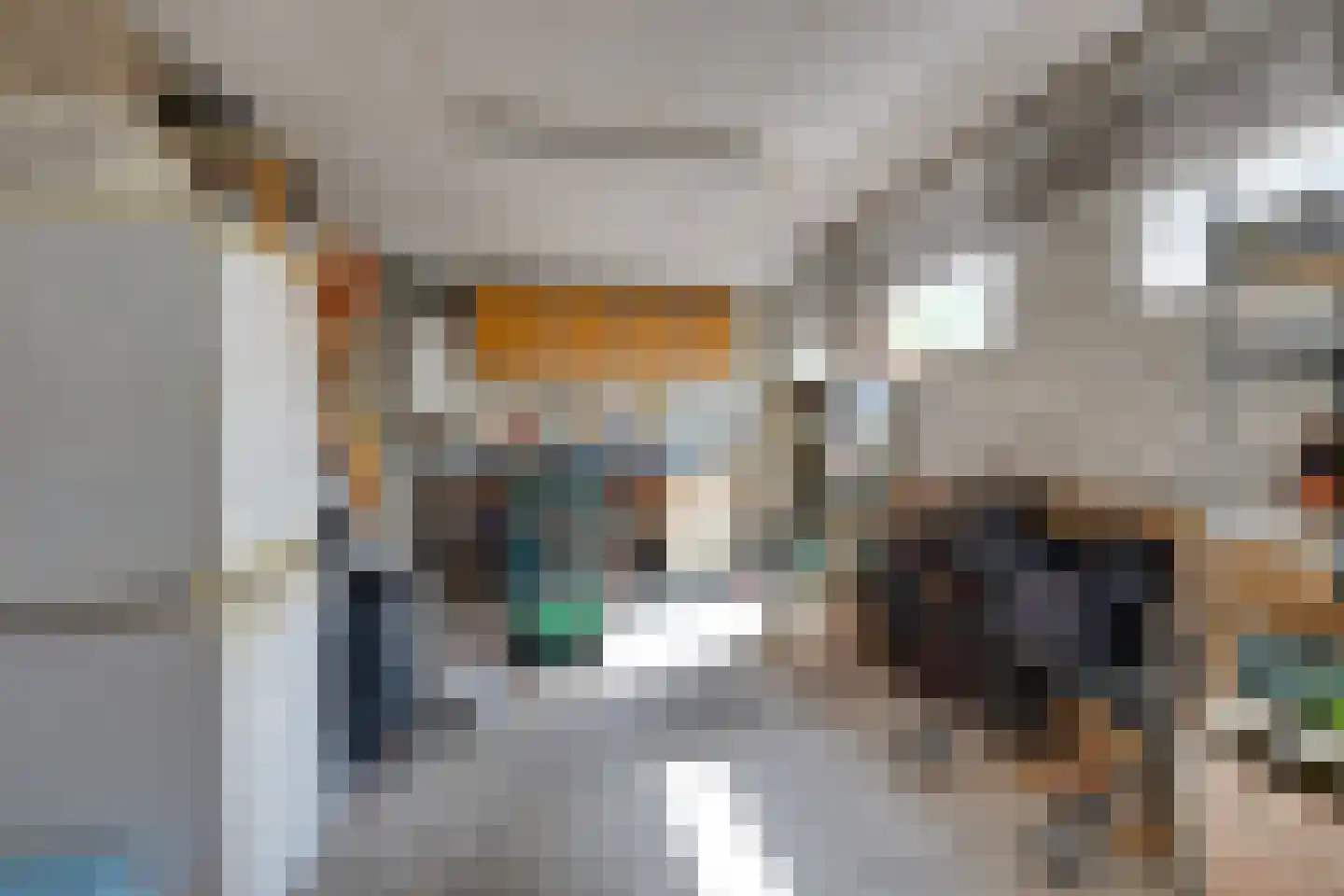 Dodonaeuslaan 317 Zaandam thumbnail 59