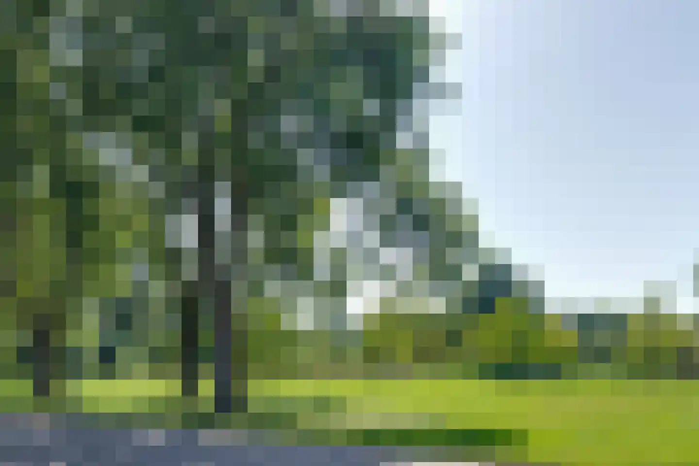Dodonaeuslaan 317 Zaandam thumbnail 62